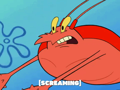 season 6 GIF by SpongeBob SquarePants