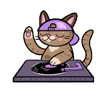 Record Player Cat Sticker