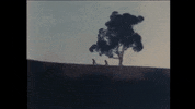 Youtube Love GIF