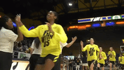 high five oregon women&#39;s basketball GIF by Oregon Ducks