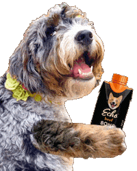 Bone Broth Drinking Sticker
