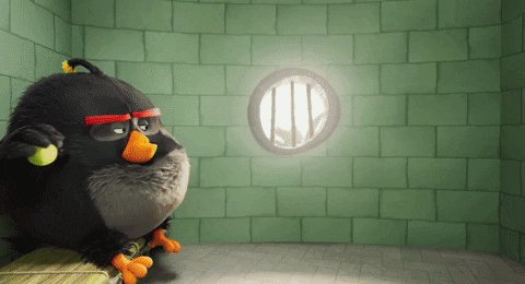object object GIF by Angry Birds Movie