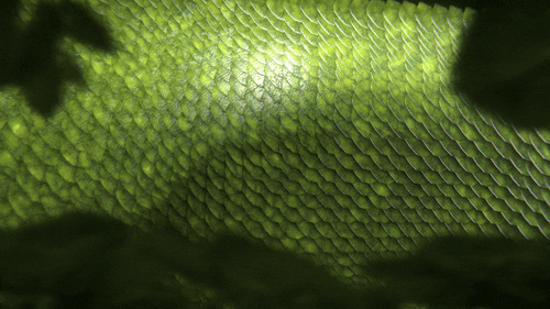 fnoobtechno giphyupload techno fnoob fnoobtechno GIF