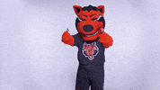 Two Thumbs Up Asu GIF by Arkansas State University