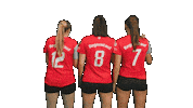 tbasvvolleyball volleyball damen1 tbasv tbasvregenstauf Sticker