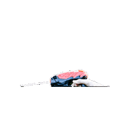 Summer Aiming Sticker by ArmoGear