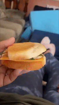 Kid's Sandwich for Mom Features Extra Special Ingredient: 'Leaves From Outside'