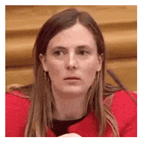 Katrinerobsoe GIF by Radikale Venstre