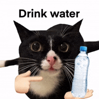 Drink Water Cat GIF