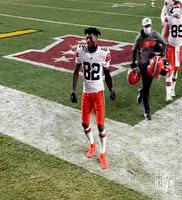 Happy National Football League GIF by NFL