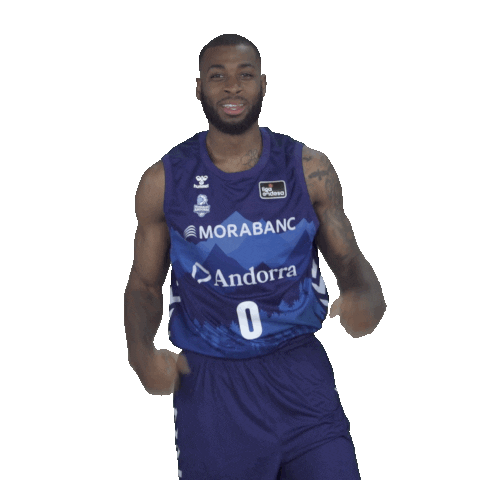 Liga Endesa Basketball Sticker by ACB
