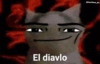 Cat Follow GIF