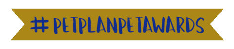 Winner Trophy Sticker by Petplan