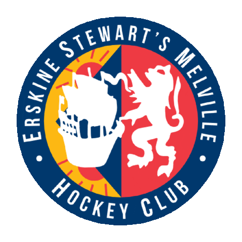 Field Hockey Esm Sticker by Y1Hockey
