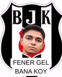 Galatasaray Gs GIF