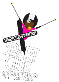 skidifferent ski sudtirol dolomiti alto adige Sticker