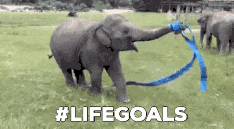 crystalmclain giphygifmaker GIF
