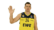 Ewe Baskets Basketball Sticker by EWE Baskets Oldenburg