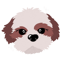 Shih Tzu Dog Sticker