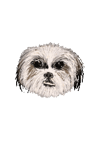 haanaid dog animals orange fish Sticker