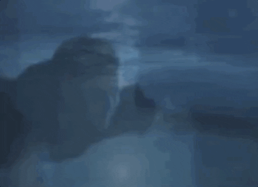 ForeverYoungAdult giphyupload felicity GIF
