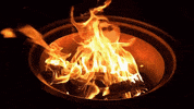 GIF by Mashable