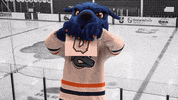 Oshawa GIF by Ontario Tech Ridgebacks