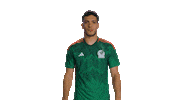 Celebrating World Cup Sticker by MiSelecciónMX