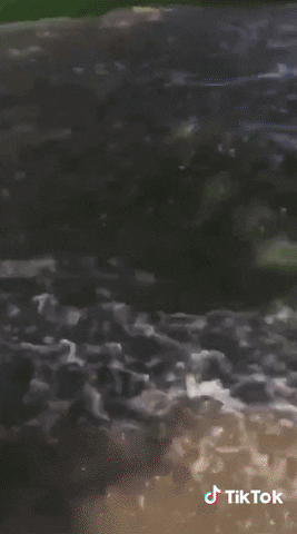 Friday Vibe GIF by TikTok France