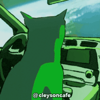 Shocked Cat GIF