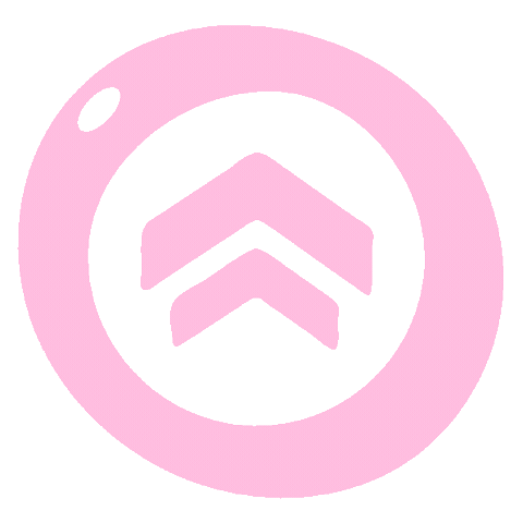 Chevron Sticker by The Ladies Edge