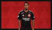 Eintracht Frankfurt Applause GIF by Bundesliga