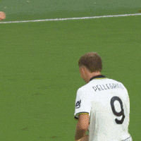 Goal Assist GIF by Parma Calcio 1913