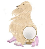 打扮 Afghan Hound Sticker by JENDES