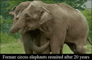 feel better GIF