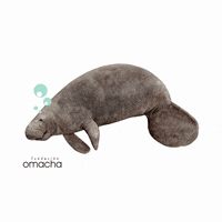 FundacionOmacha amor gracias donacion manati GIF
