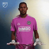 Calm Down All Good GIF by Major League Soccer