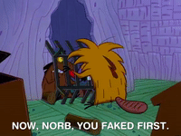 nickrewind nicksplat angry beavers GIF