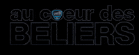 Us Creteil Sport GIF by US Créteil Handball