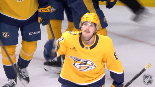 National Hockey League Love GIF by NHL