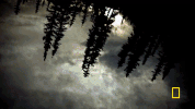 lifebelowzero GIF by National Geographic Channel