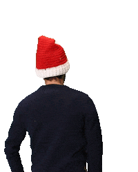 Christmas Peters Sticker by Dylan Haegens