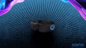 Fitness Health GIF by RENPHO