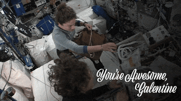 High Five Space Station GIF by NASA