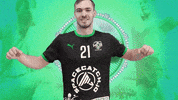 Handball GIF by HCB Karviná