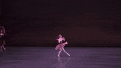 nycballet dance ballet ballerina nycb GIF