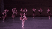 sara mearns ballerina GIF by New York City Ballet