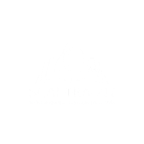 scalifrazn giphyupload scalifra-zn scalifra scalifrazn Sticker