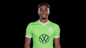 Football Reaction GIF by VfL Wolfsburg