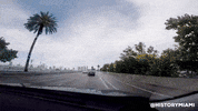 Miami Beach GIF by HistoryMiami Museum